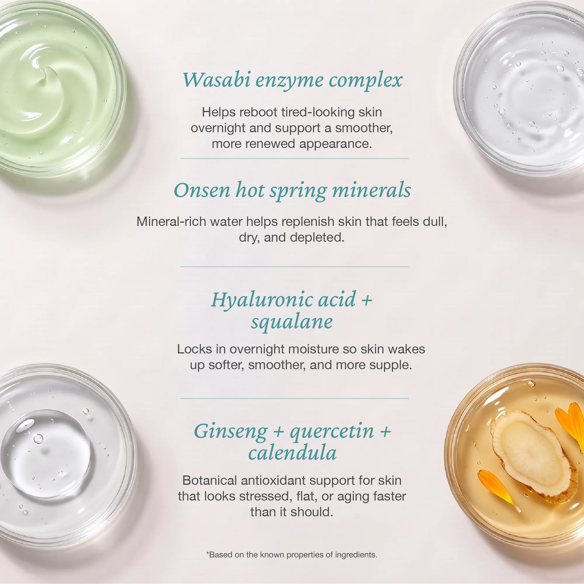 Wasabi Enzyme Collagen Night Cream
